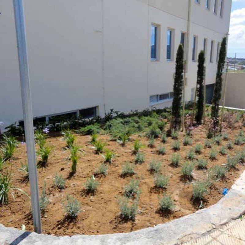 Κτιριακό Συγκρότημα Γραφείων της Alpha Bank