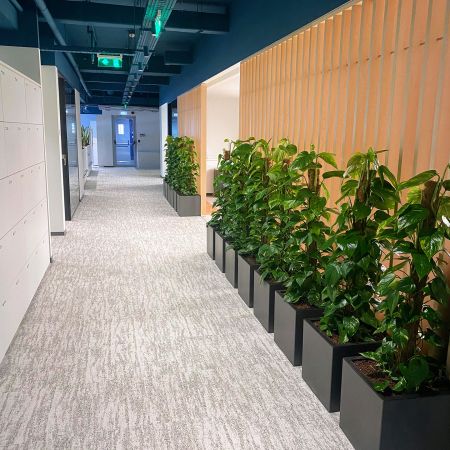 Γραφεία Estee Lauder