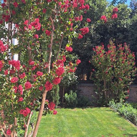 Ιδιωτική Κατοικία Π. Ψυχικό
