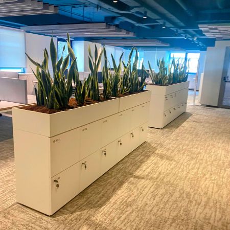 Γραφεία Estee Lauder