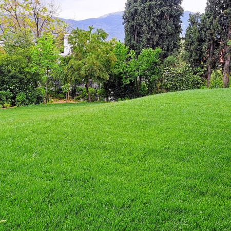 Κατοικία Πρεσβείας Π. Ψυχικό