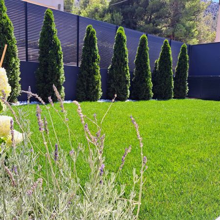 Ιδιωτική Κατοικία Διόνυσος