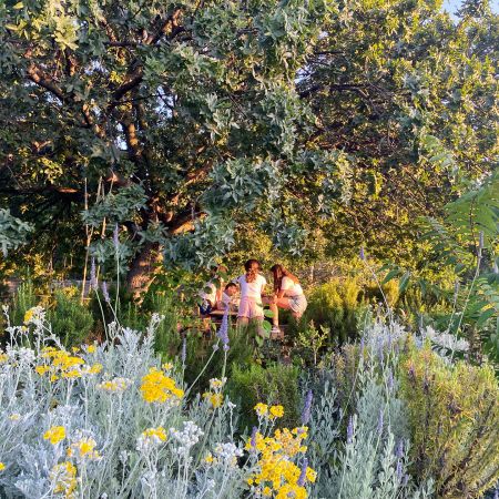 Κτήμα Αρίστη