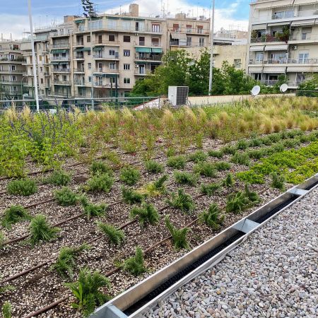 Φυτεμένο Δώμα στον Πανελλήνιο Γ.Σ. Αθήνα