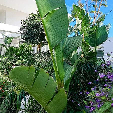 Συγκρότημα Κατοικιών Άλιμος